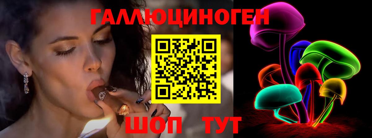 Северск  Псилоцибиновые грибы MAGIC MUSHROOMS  Вход с VPN  Псилоцибиновые грибы GOLDEN TEACHER 